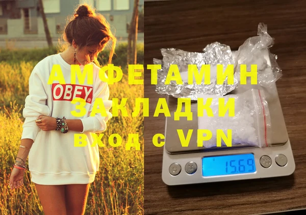 PSILOCYBIN Новодвинск