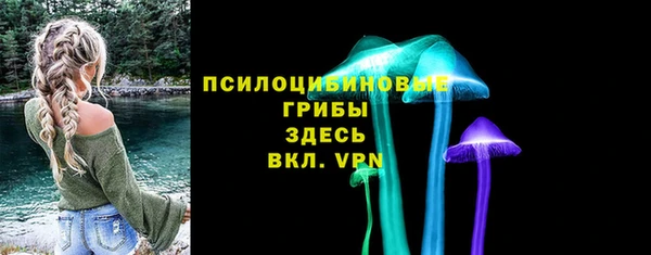 PSILOCYBIN Новодвинск