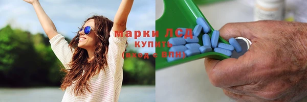 spice Бугульма