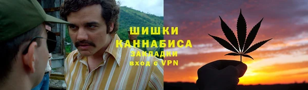 PSILOCYBIN Новодвинск