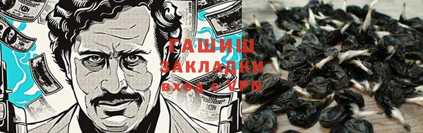 каннабис Новозыбков