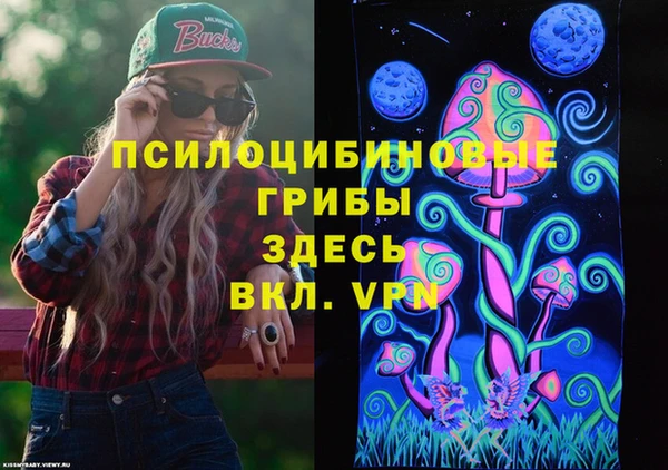 каннабис Новозыбков