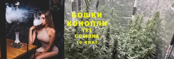 каннабис Новозыбков