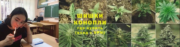 PSILOCYBIN Новодвинск