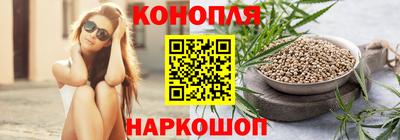 гидра Краснознаменск