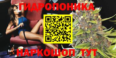 гидра Краснознаменск
