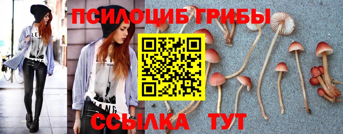 Псилоцибиновые грибы MAGIC MUSHROOMS Симферополь