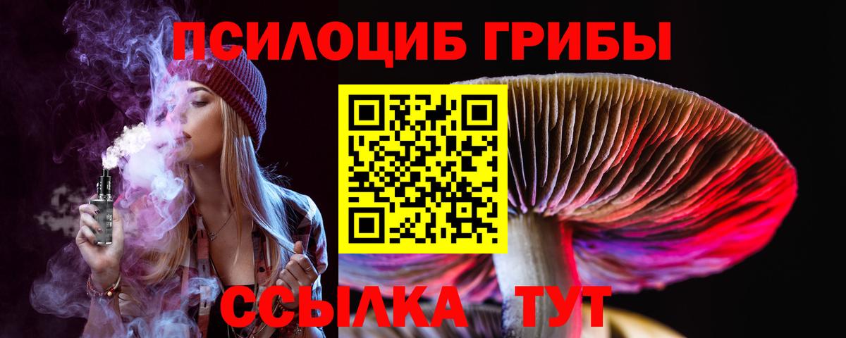 Галлюциногенные грибы мицелий  Симферополь  Галлюциногенные грибы Psilocybine cubensis 