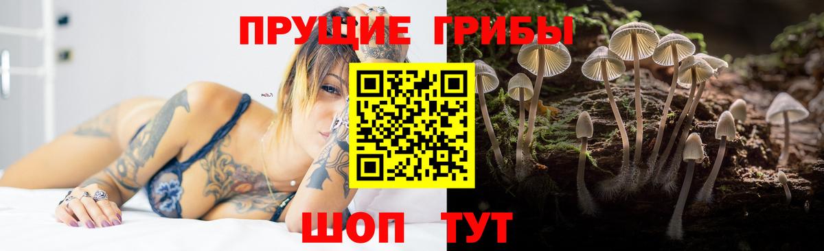 Псилоцибиновые грибы Psilocybine cubensis  Вход с VPN  Симферополь 
