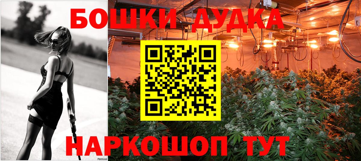 МАРИХУАНА ГИДРОПОН  Марихуана сатива  Конопля семена  Симферополь 